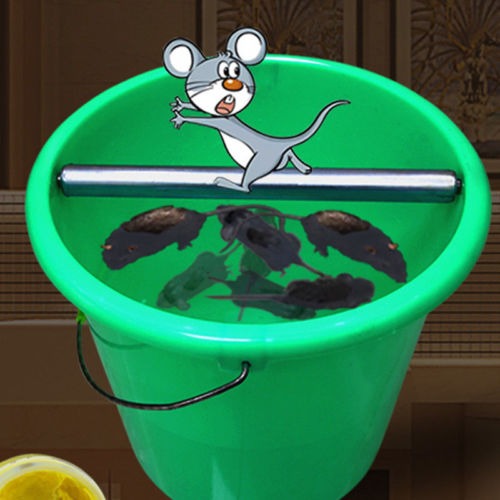 Trampa para ratones balde